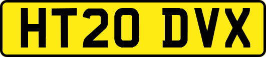 HT20DVX