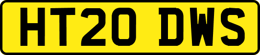 HT20DWS