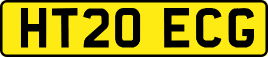 HT20ECG