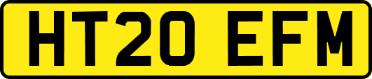 HT20EFM