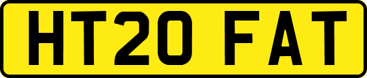 HT20FAT