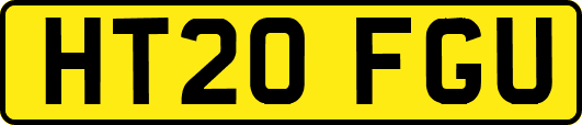 HT20FGU