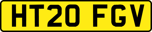 HT20FGV