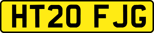 HT20FJG