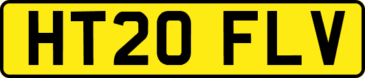 HT20FLV