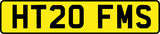 HT20FMS