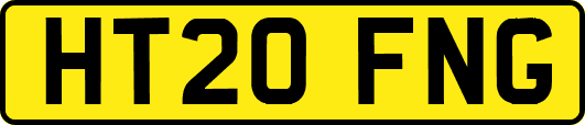 HT20FNG