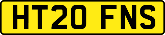 HT20FNS