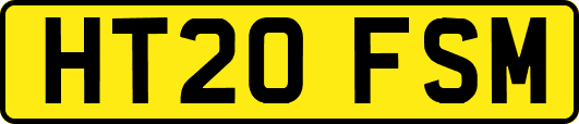 HT20FSM