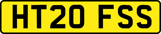 HT20FSS