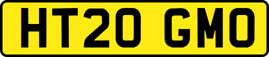 HT20GMO