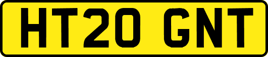 HT20GNT