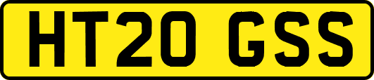 HT20GSS