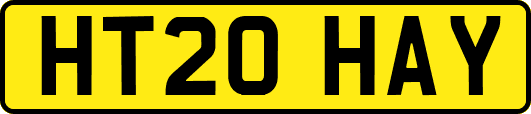 HT20HAY