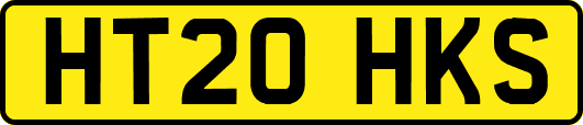 HT20HKS
