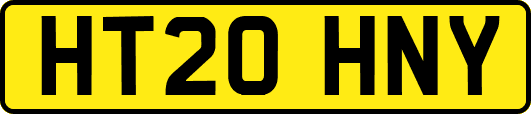 HT20HNY