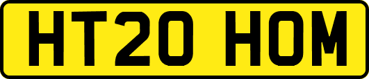 HT20HOM