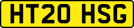 HT20HSG