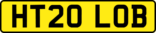 HT20LOB