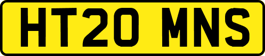 HT20MNS