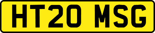 HT20MSG
