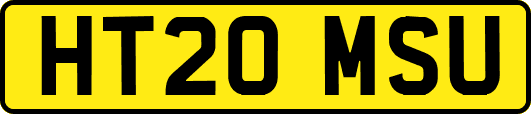 HT20MSU