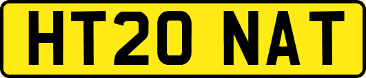 HT20NAT