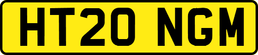 HT20NGM