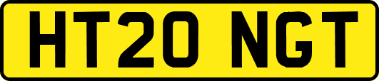 HT20NGT