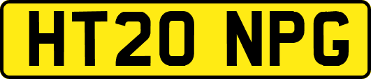 HT20NPG