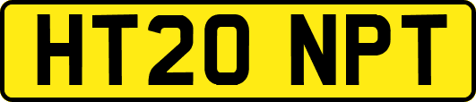 HT20NPT