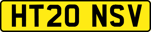 HT20NSV