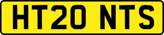 HT20NTS