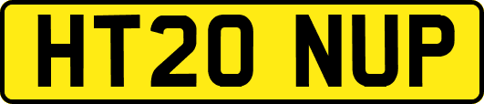 HT20NUP