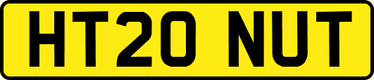 HT20NUT