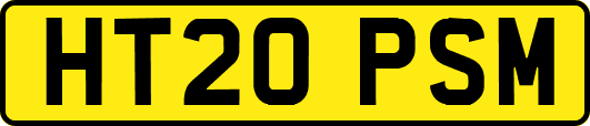 HT20PSM