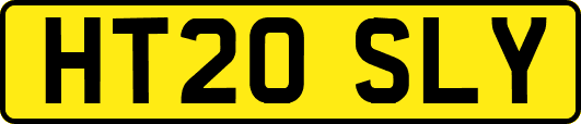 HT20SLY