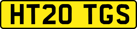 HT20TGS