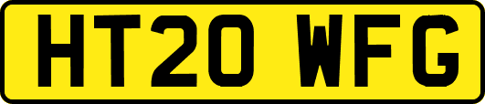 HT20WFG