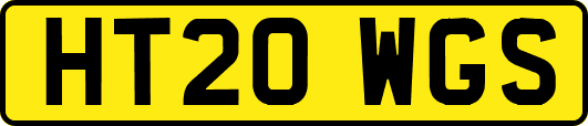 HT20WGS