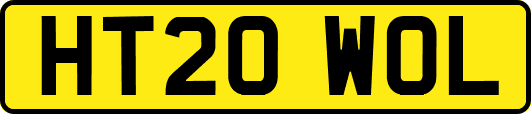 HT20WOL