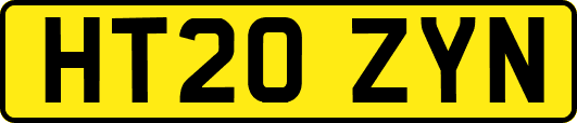 HT20ZYN