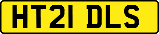 HT21DLS