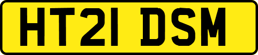 HT21DSM