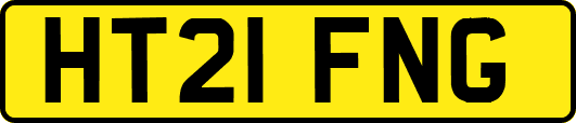 HT21FNG