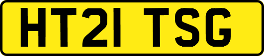 HT21TSG