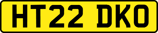 HT22DKO
