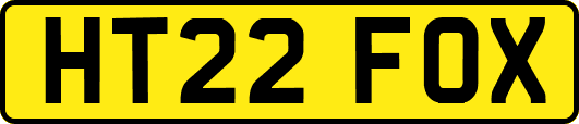HT22FOX