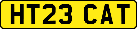 HT23CAT