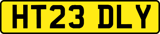 HT23DLY